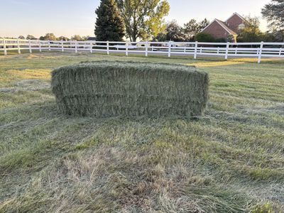 Grass Hay - 3x4x8
