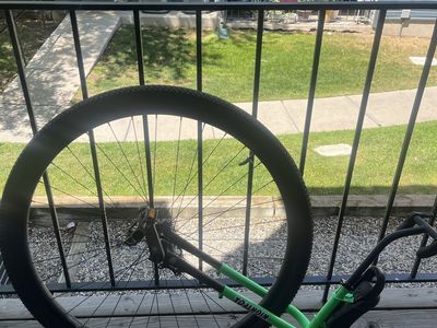 36” nimbus night fox