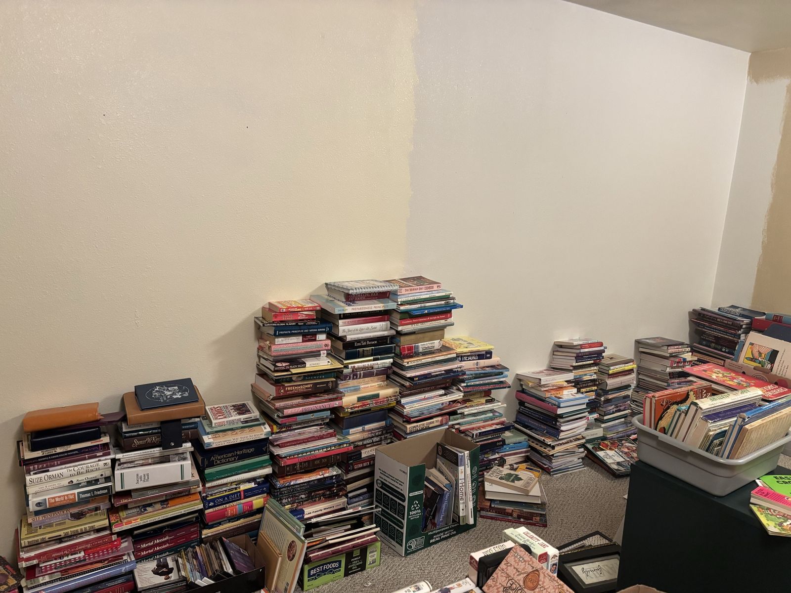 Main image 7