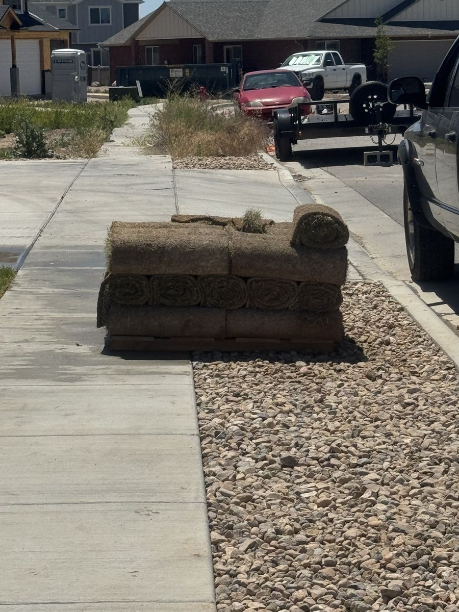 Free sod