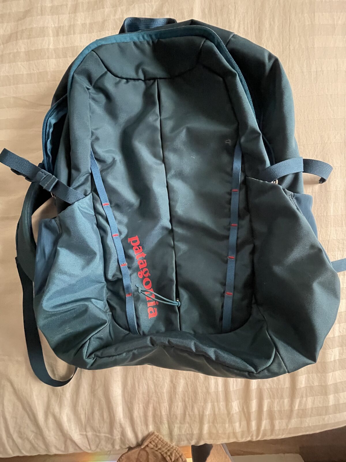 Patagonia Backpack