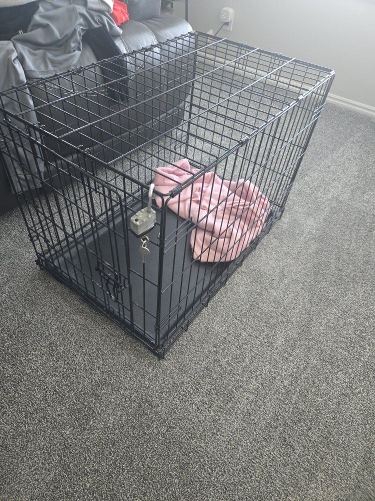 Kennel  19 inches wide x 30 inches long x 21 inches talll