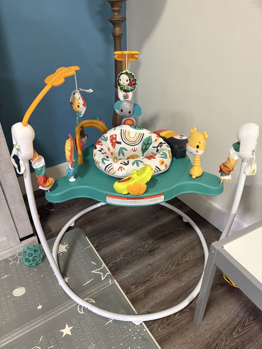 Baby Bouncer - Lightly Used