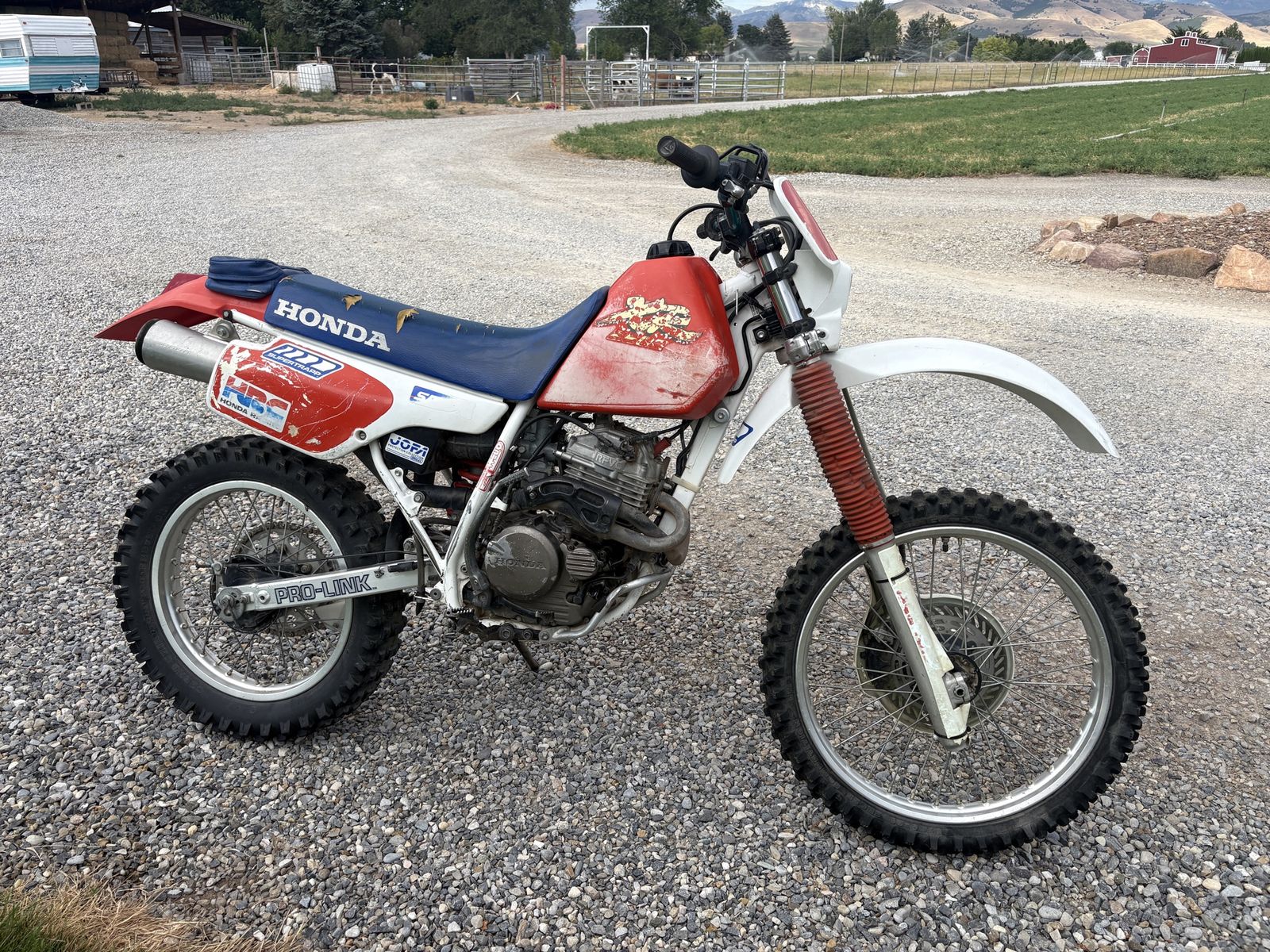 Honda XR  250 Dirt Bike - Red/Blue - Used, As-Is -  Off-Road Motorcycle