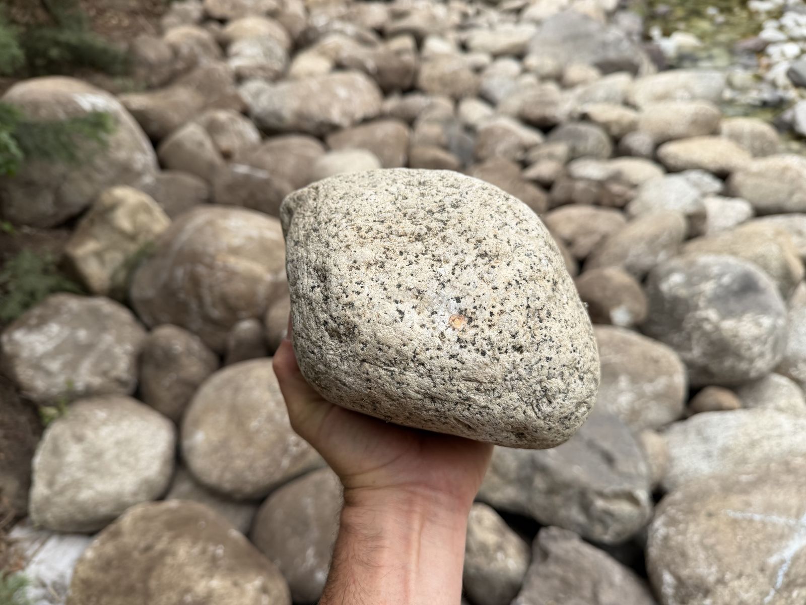 FREE Granite River Rocks