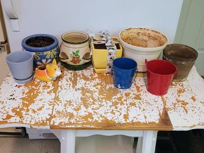Assorted Garden Pots & Planters - Ceramic, Metal & Novelty Designs