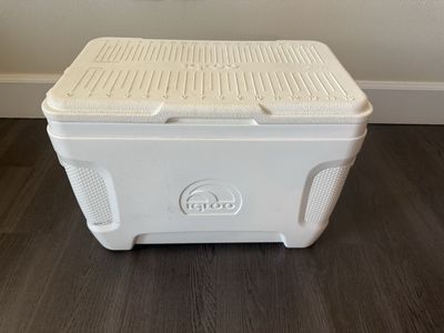 Igloo Cooler