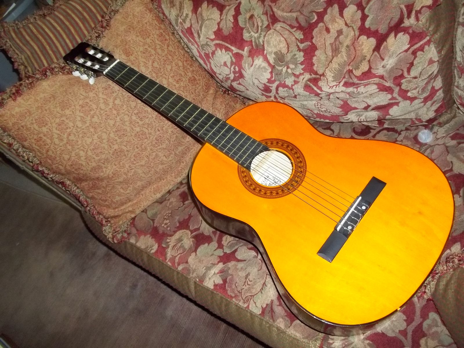 Accustic Guitar with Soft Case