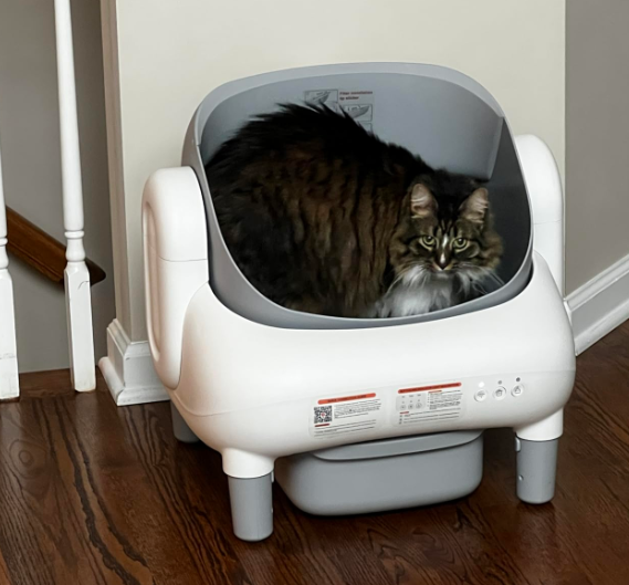 New in box Automatic Cat Litter Box