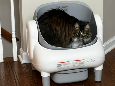 New in box Automatic Cat Litter Box