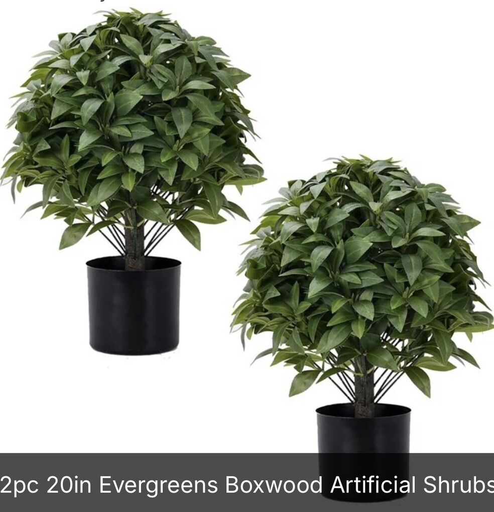 New 2-Piece Artificial Boxwood Plants