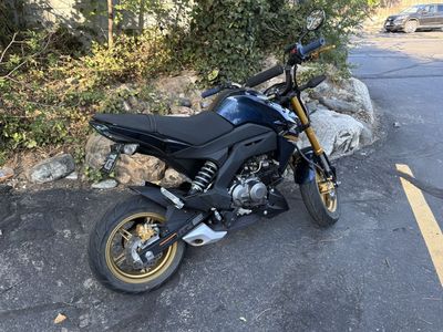 Kawasaki Z125 Pro 2023