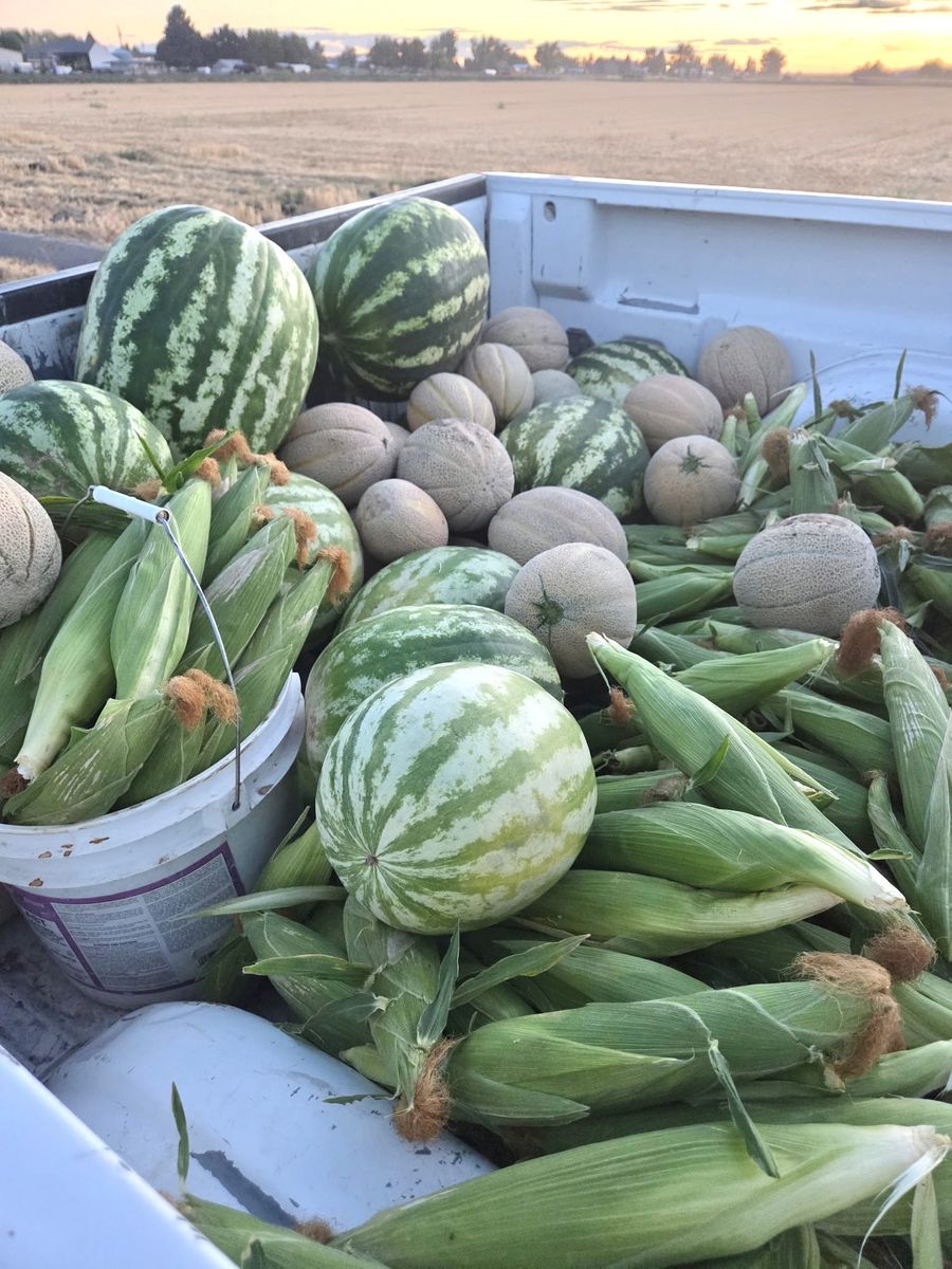 Local Farmers market 