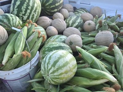 Local Farmers market
