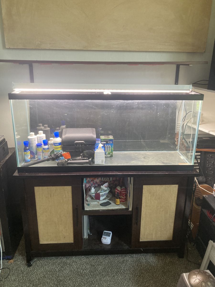 55 gallon fish tank aquarium