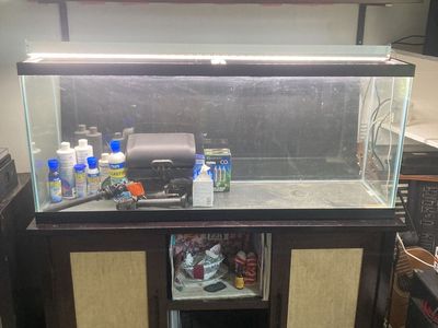 55 gallon fish tank aquarium