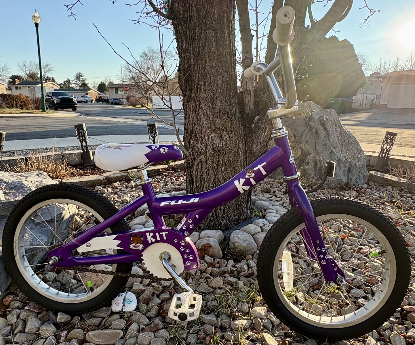 16 Inch Fuji Bike Great Condition