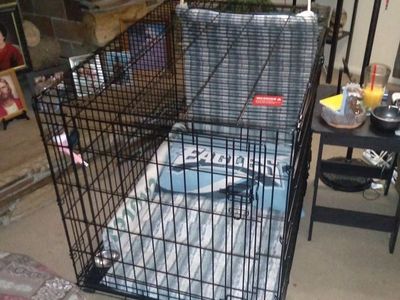 Kong XL Dog Crate
