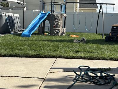 Lifetime Backyard Outdoor Playset with Slide, Swings, Clubhouse, and Climbing Wall