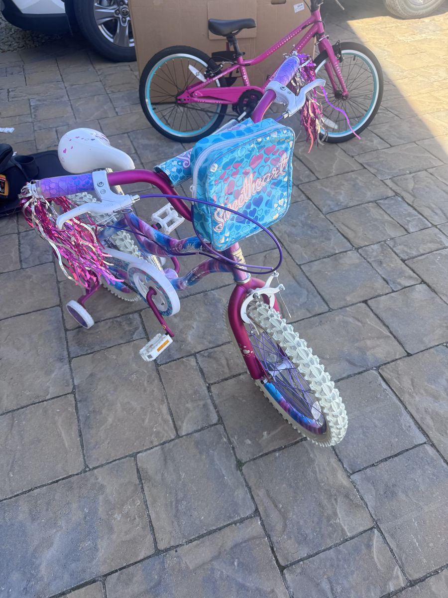 18 In Dynacraft  Girls Bike