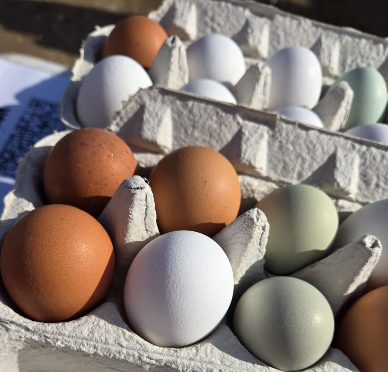 Farm Fresh Eggs