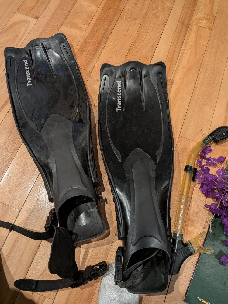 scuba fins transcend edge men x large