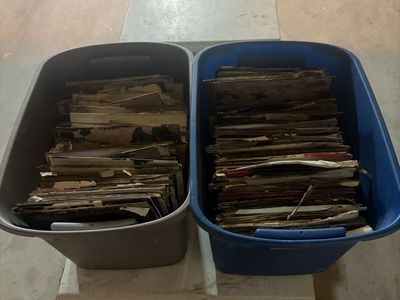 Bulk records
