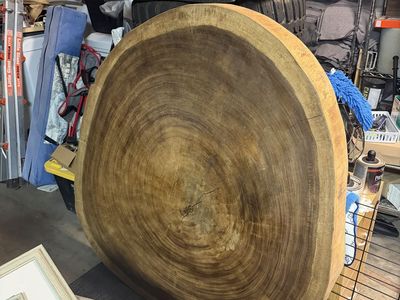 Monkey wood slab table