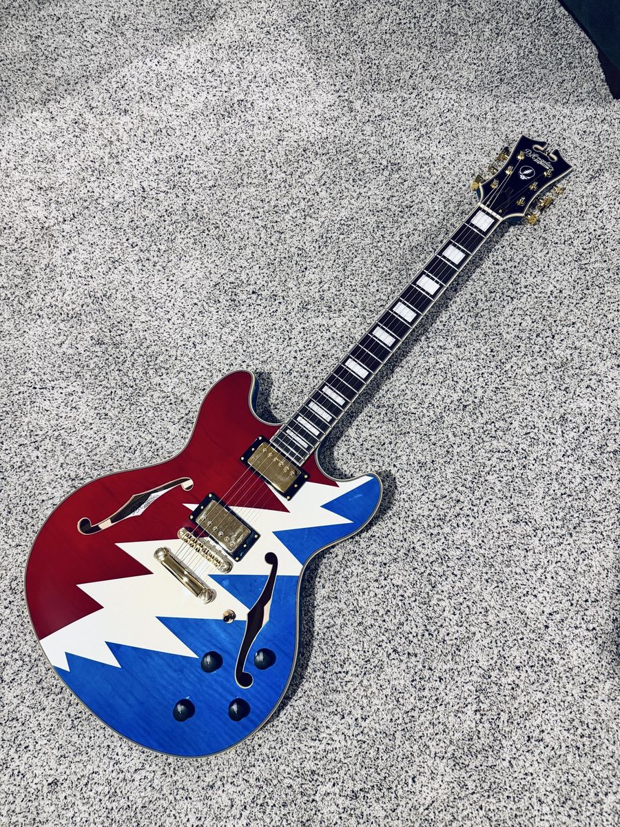 D'Angelico Premier DC Grateful Dead Guitar *NEW*