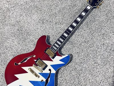 D'Angelico Premier DC Grateful Dead Guitar *NEW*