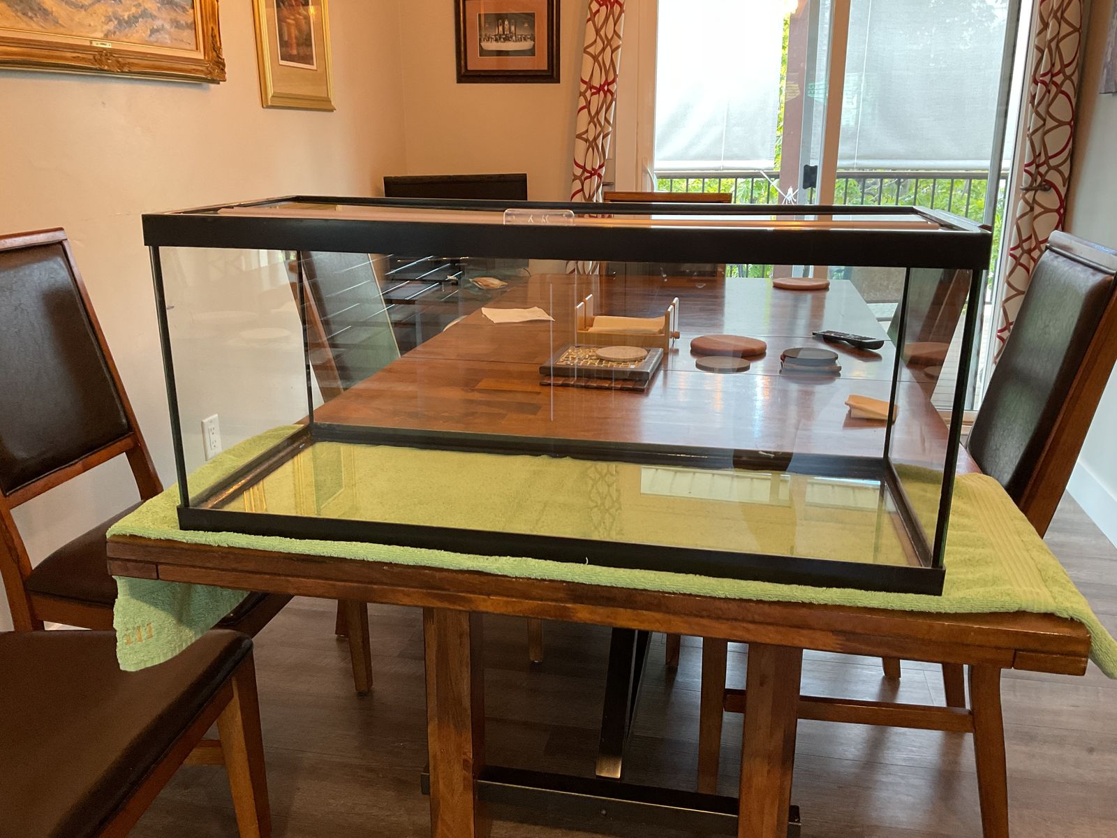 20 gallon breeder tank with partial glass cover.