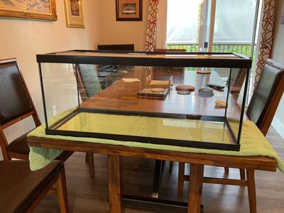 20 gallon breeder tank with partial glass cover.