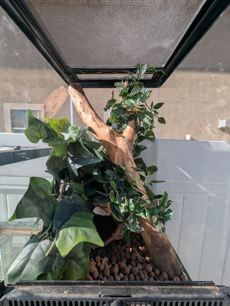 12 x 12 x 20 zilla tank