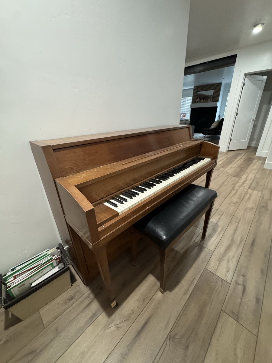Main image 5