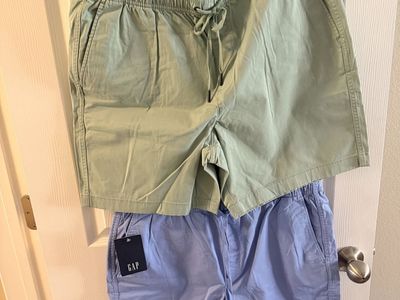NWT Men's GAP Pull-On Shorts Lot of 2 Size Large Green Blue