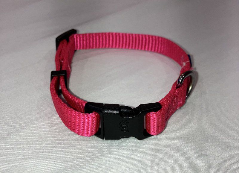 Blueberry Pet Classic French Pink Dog Collar (XS)