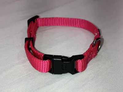 Blueberry Pet Classic French Pink Dog Collar (XS)