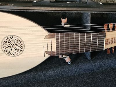 Lute/Harp Guitar 14 course