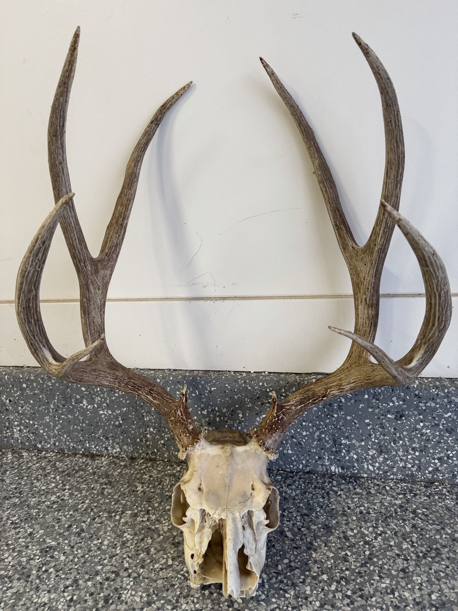 Big Deer Racks