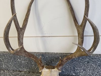 Big Deer Racks