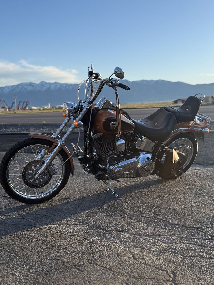 2008 Softail