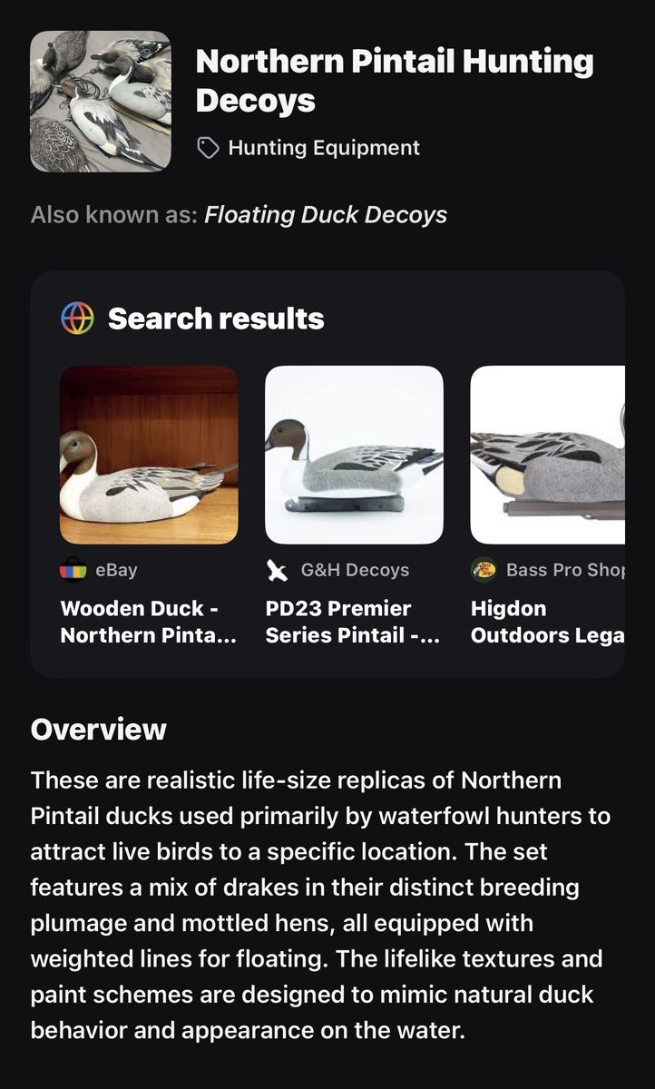 Northern pintail hunting decoys
