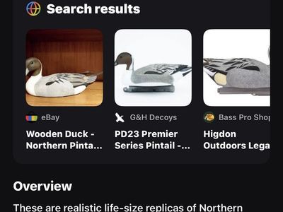 Northern pintail hunting decoys