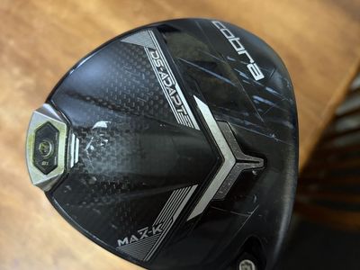 Cobra DS-ADAPT MAX K Driver