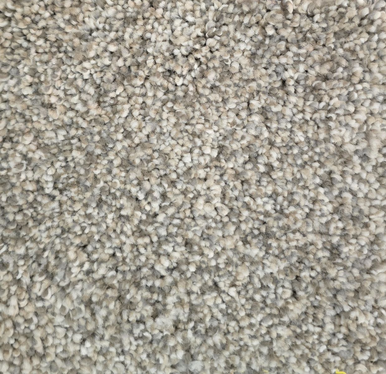 Carpet Remnant