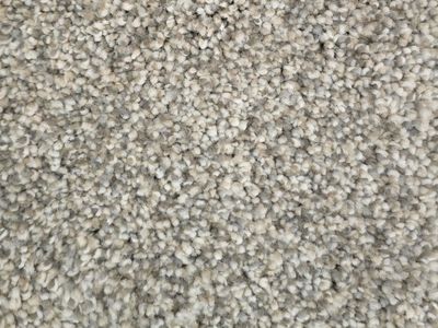 Carpet Remnant