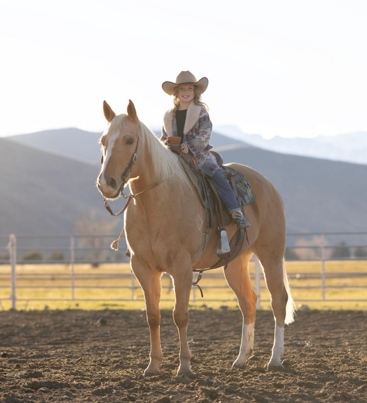 10 Yr Old APHA Palomino Gelding