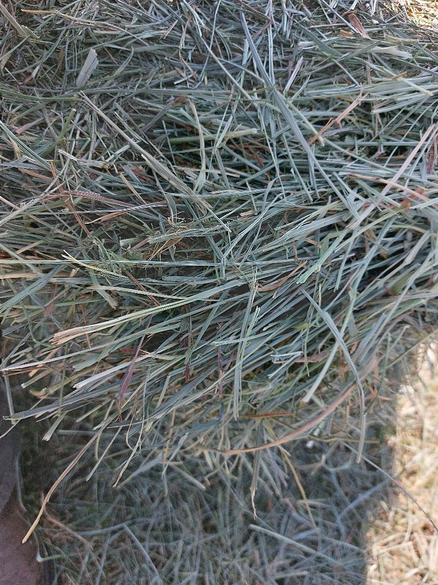 Main image 2