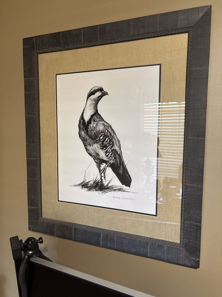 Chukar print with frame. 