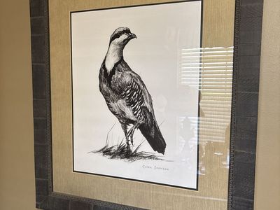Chukar print with frame.